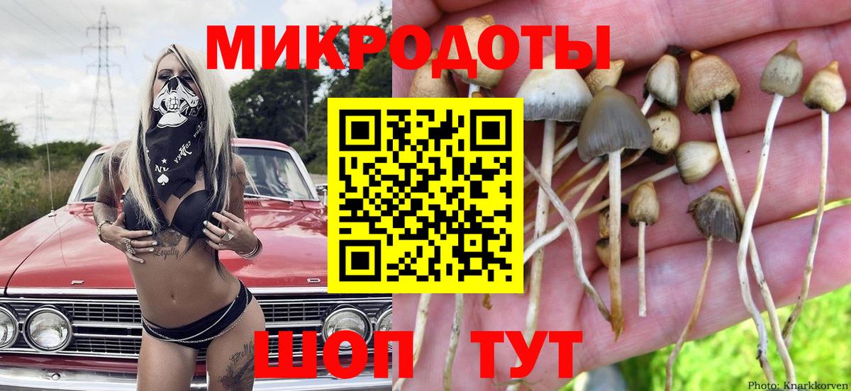 Псилоцибиновые грибы Cubensis  Галлюциногенные грибы прущие грибы  Кулебаки  Вход с VPN 